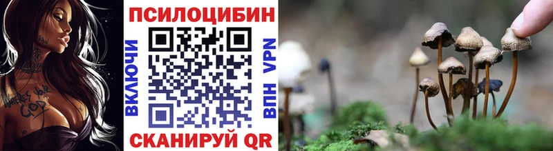 Галлюциногенные грибы Psilocybine cubensis  цены наркотик  МЕГА зеркало  Ветлуга 