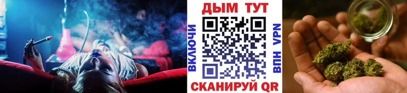 где купить   Ветлуга  МАРИХУАНА SATIVA & INDICA 
